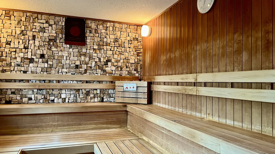 The sauna room, its walls lined with Jurassic petrified wood